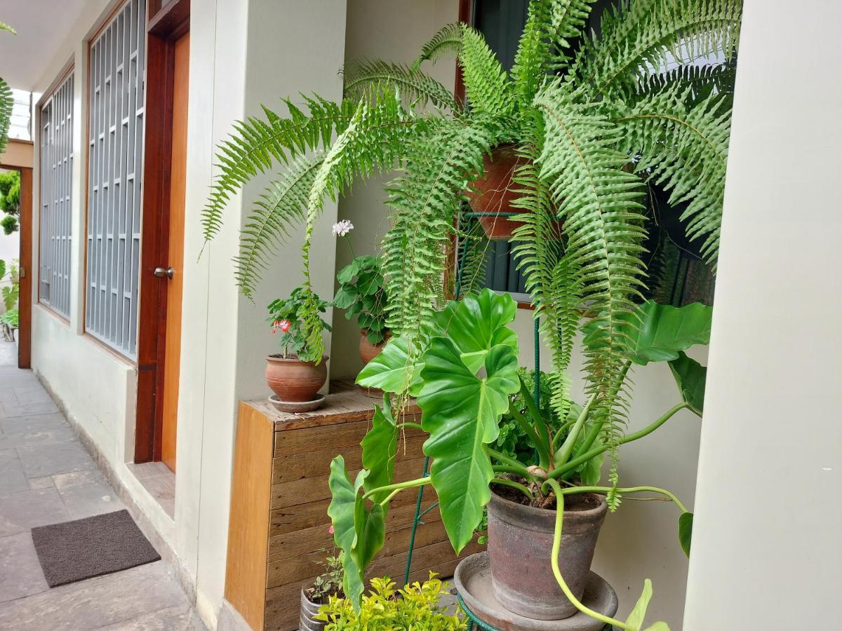 דירות לימה Casa Amarello מראה חיצוני תמונה