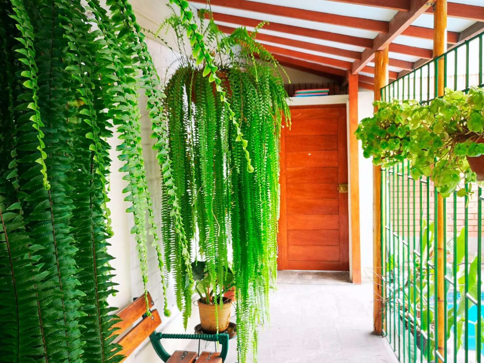 דירות לימה Casa Amarello מראה חיצוני תמונה
