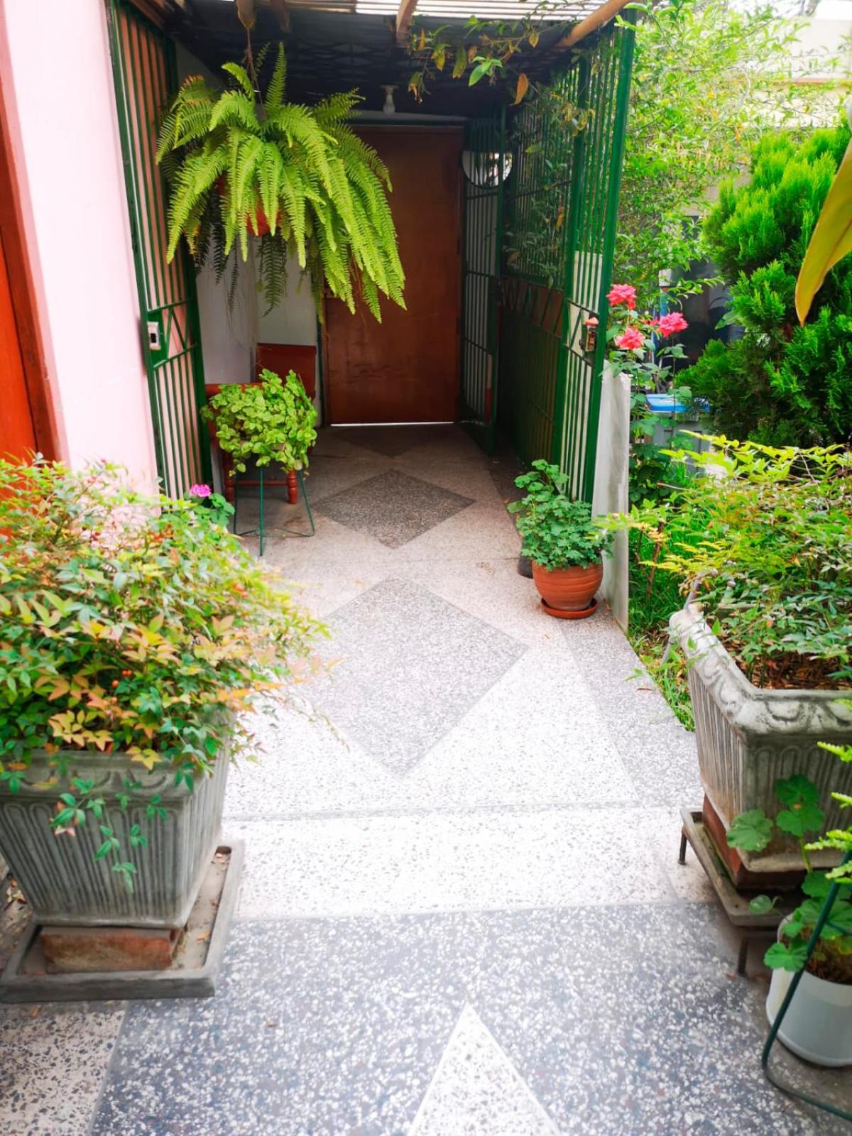 דירות לימה Casa Amarello מראה חיצוני תמונה